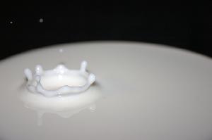 Gocce di latte: news dal mondo dei latticini